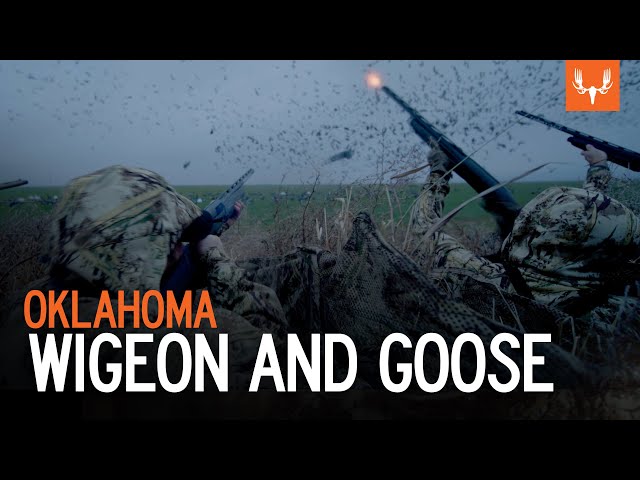 Oklahoma Wigeon and Goose | Heartland Waterfowl