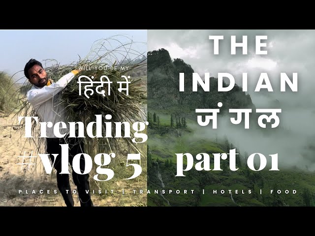 #vlog5 part 1 solo camping forest in india 🌳