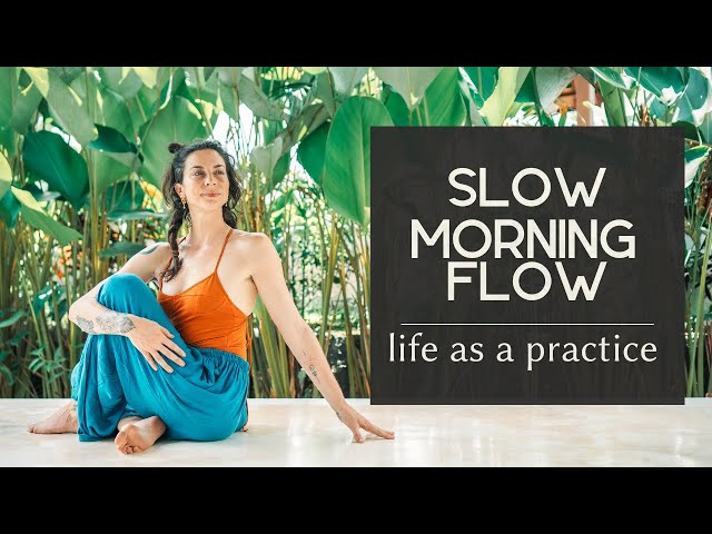 Life as a Practice ~ Slow Morning Yoga Flow | COLE CHANCE YOGA