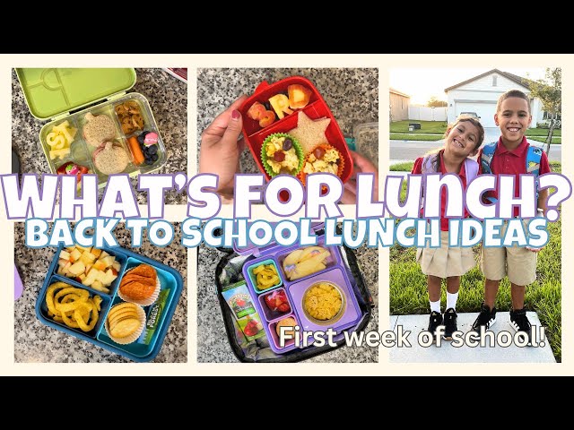 Back To School Lunch Ideas 🍎 ALL NEW Lunch Box Ideas 2023 / Feeding Kae