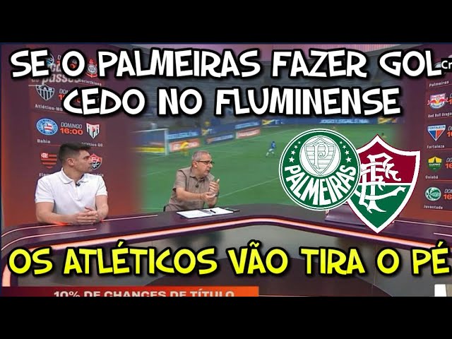 PALMEIRAS E  FLUMINENSE UM JOGO DRAMÁTICO E AS CONTAS PARA O FLU  NÃO CAIR. O DESESPERO CHEGOU.