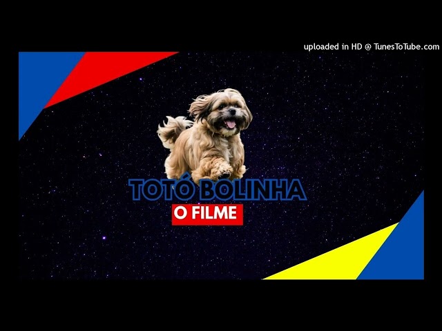 Totó Bolinha o Filme _ Nunca Sozinho _ MUISÍCA DO FILME