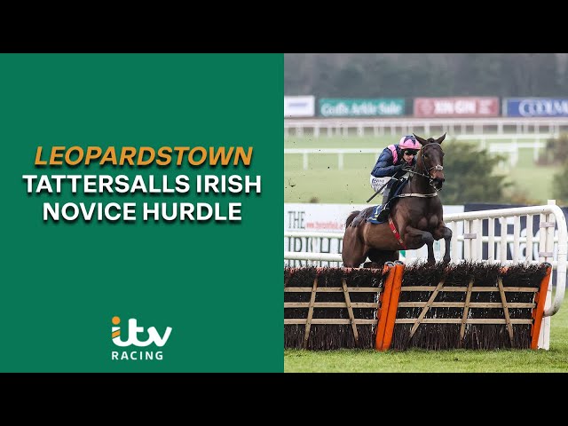 FULL RACE & REACTION:Kopek Des Bordes rules supreme at Leopardstown