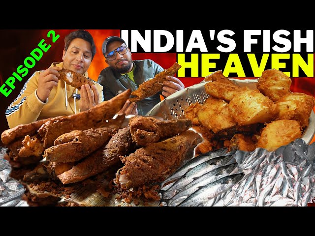 fish fry street food India's fish fry heaven Big fish breakfast early morning ghazipurmandi episode2