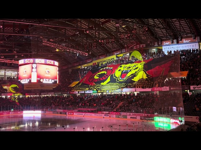 SC Bern TIFO 🇨🇭🏒 #scbern #hockeygame #hockeynight #hockey #hockeyfan #puck #hockeylife #tifo