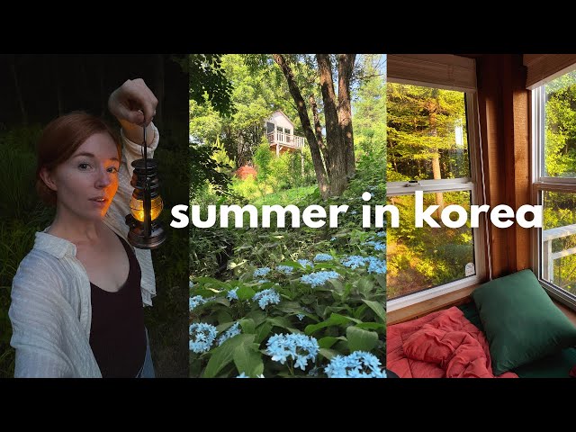 korea vlog 📹 living in a treehouse for a summer weekend outside of seoul