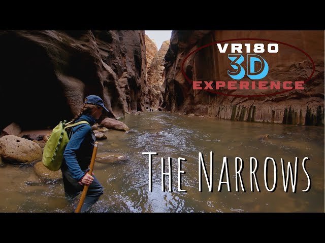 Relaxing River Hike: The Narrows - Zion National Park - Nature ASMR High Resolution Travel VR180/360