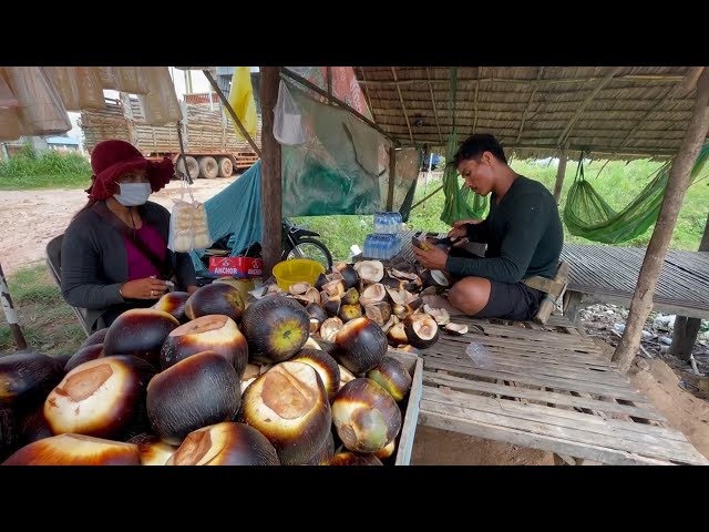 Amzing man cutting palm fruit #StreetFood #LocalFood #LocalFood #LivingCulture #Traveling