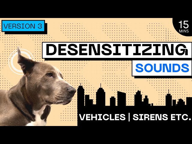 DOGS REACTIVE TO TRUCKS | #2023 DESENSITIZING SOUNDS | CITY & APARTMENT SOUNDS