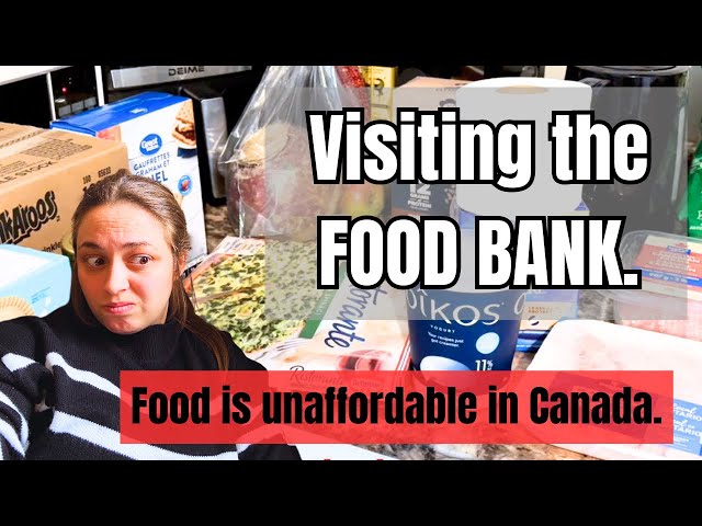 FOOD BANK HAUL BECAUSE TIMES ARE TOUGH + SURVIVING RISING COSTS + Low Income Homemaking