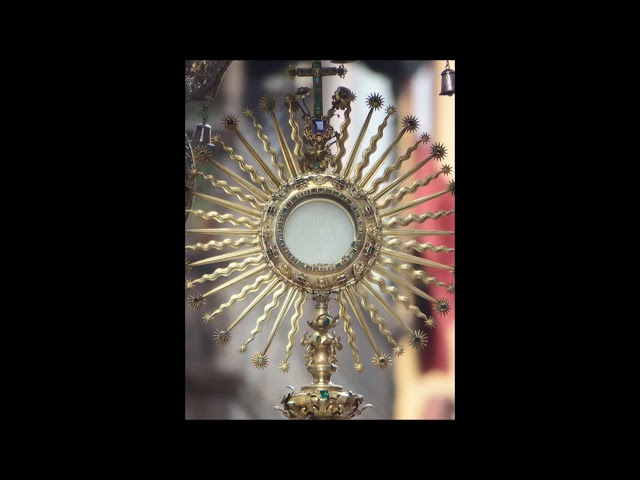 Anima Christi, sanctifica me. Corpus Christi, salva me...