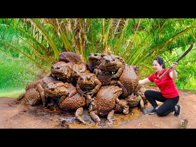 SHOCKING! Harvesting Giant Devil Fig & Go to Market Sell | Harvesting and Cooking |Tieu Vy Daily