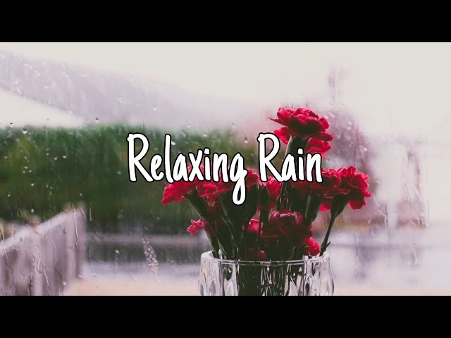 Rain sounds for sleeping & relaxing at night (No Thunder)