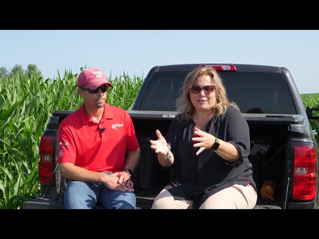 Bumper Crops: Tar Spot on Corn