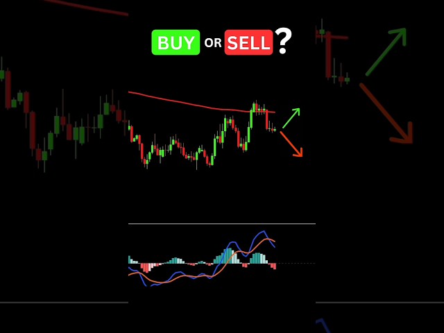 Buy or Sell : MACD Trading Strategy