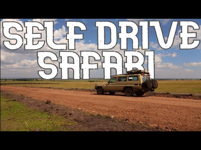 We went on a 14 Day Self Drive Safari in Tanzania