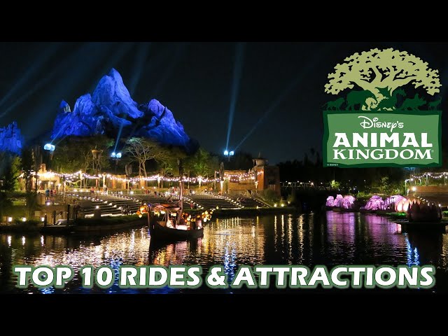 Top 10 Rides and Attractions at Disney's Animal Kingdom