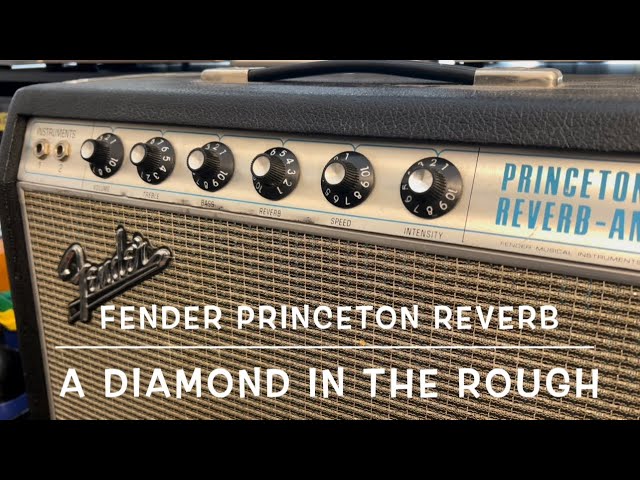 Fender Princeton Reverb || A Diamond in the Rough (Drip Edge/Black Line)