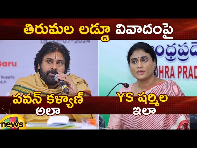 Pawan Kalyan And YS Sharmila Comments On Tirupati Laddu Controversy | Janasena | AP Politics