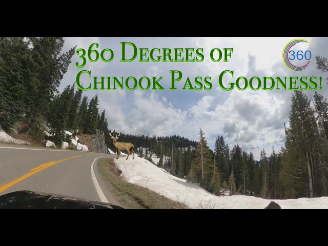 Washington State Chinook Pass Hwy 410 in 360