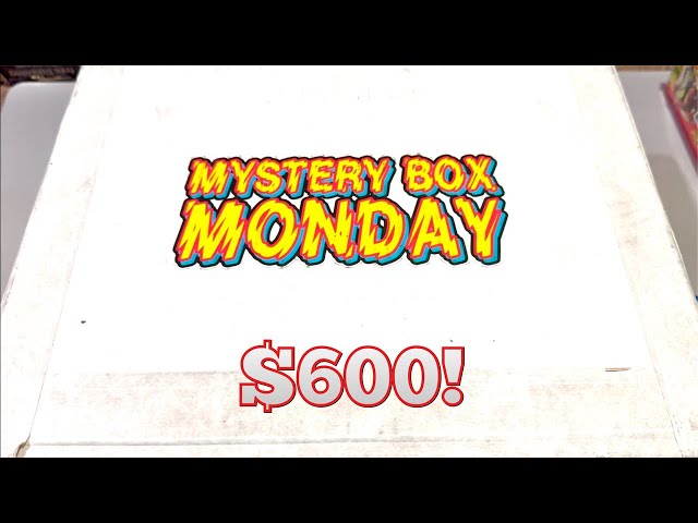 AMAZING $600 MYSTERY BOX!  (Mystery Box Monday)