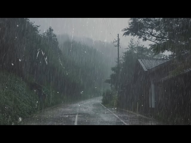 Sons de Chuva para Dormir em 11 Minutos - Melhor Som de Chuva na Floresta Nebulosa - Relaxamento