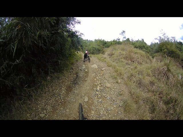 Enduro MTB downslope