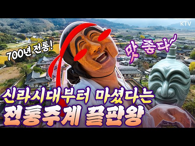 소주의 원조!? 목넘김 🎉폭죽파티 경상도 전통주🍶한 잔 마시면 몸이 풀리는 도수!역사와 전통의 안동이 보장하는 한국 전통주의 자부심 #무형문화재 #안동소주 #안동여행 #증류식소주