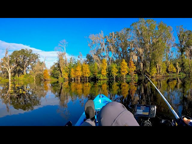 The BEAUTY of PRIMITIVE Florida KAYAK Bass Fishing | Tenoroc