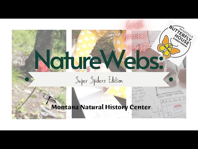 NatureWebs: Super Spiders Edition with Missoula Butterfly House and Insectarium