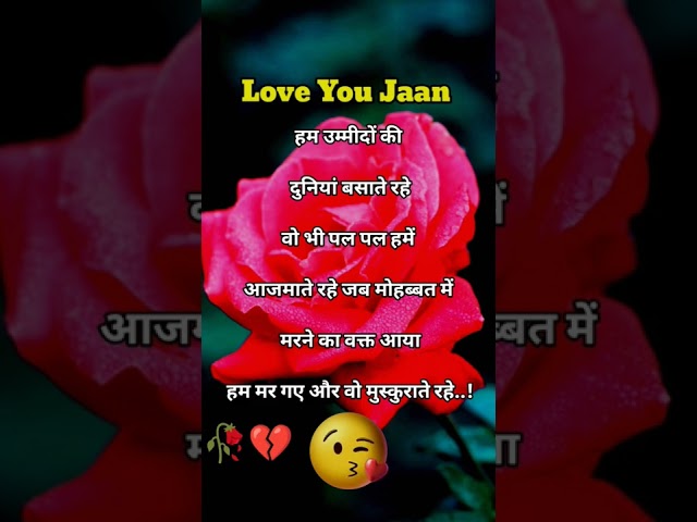 जब मोहब्बत में 💓 Love shayari status🌹Good morning shayari status❤️ शायरी 🥰 Hindi shayari #short