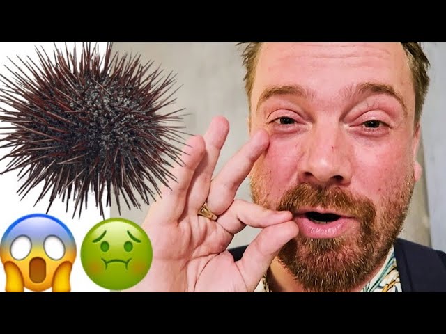 NEVER EAT SEA URCHINS !!! - Shaun in NYC Day 02