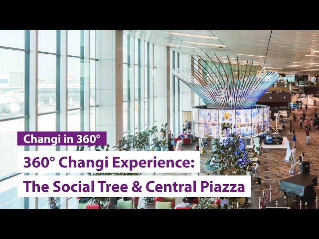 360° Changi Experience: The Social Tree & Central Piazza