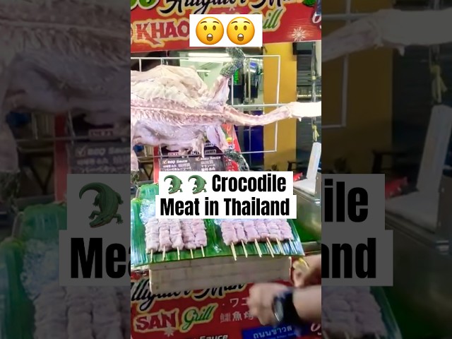 Would u dare to eat crocodile meat in Thailand? #thailand thailand  #travelvlog #travel