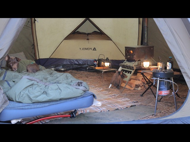 Solo Camping in Dome Igloo Tent with My Dog . Relaxing Wood Stove ASMR