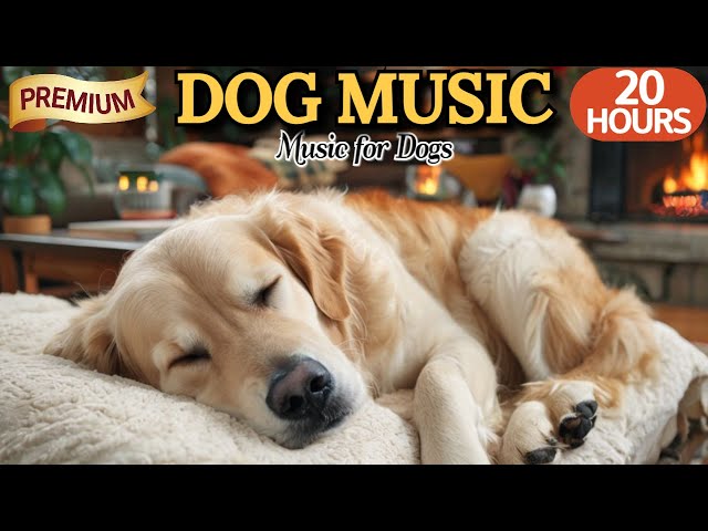 20 HOURS of Dog Calming Music💖🐶Deep Sleep Music for Dogs🐶Separation Anxiety Relief💖⭐HealingMate