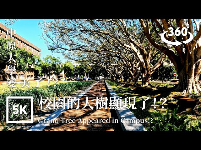 5K 360 Taiwan Walk 中原大學 Chung Yuan Christian University Asmr Amateur Ambience Built Environment