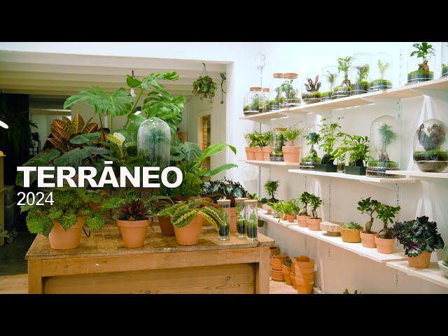 TERRANEO! Visitando una tienda de OBJETOS BOTANICOS en Barcelona