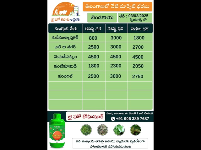 Today Market rates of Bendakaya & Kakarakaya in Telangana @JaiHoKisan​