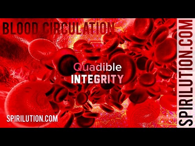 (Deep Healing Music) ★Blood Circulation, Purification & Cleansing Formula★(Binaural Beats Frequency)