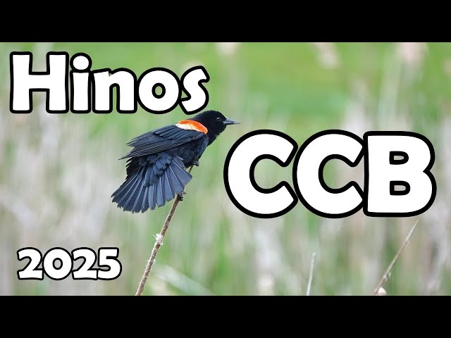 Hinos   CCB - Hinos  Pedidos pela irmandade  - Hinário 5 - Hinos mas tocados em  09/02/2025