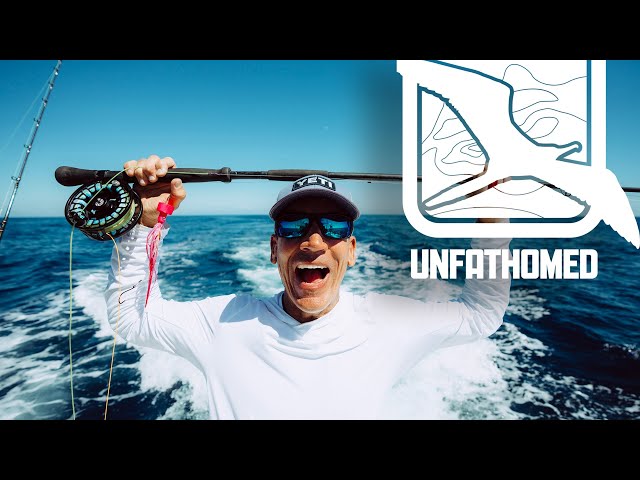 SAILFISH on FLY - CRAZY BITE