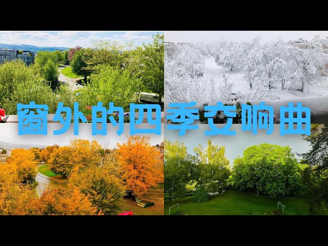 A symphony of seasons outside your window: | four seasons