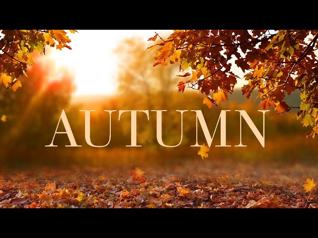 2 Hours Of Soothing Guitar Music with Autumn Background: Perfect for Relaxation, and Stress Relief