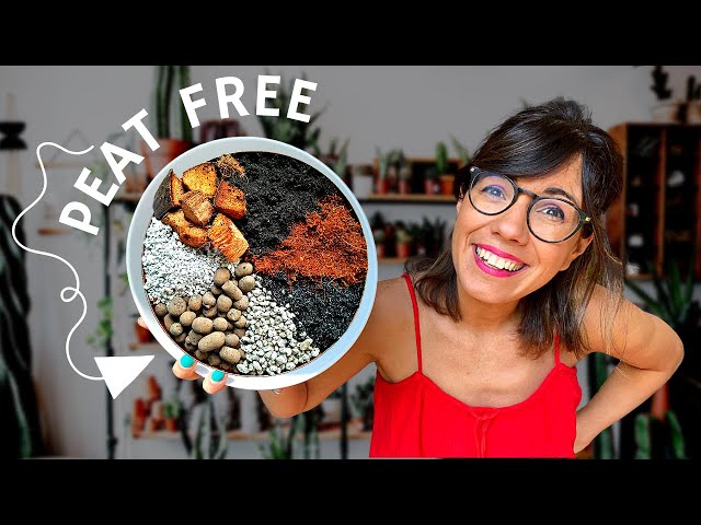 Make your own POTTING MIX for tropical plants!