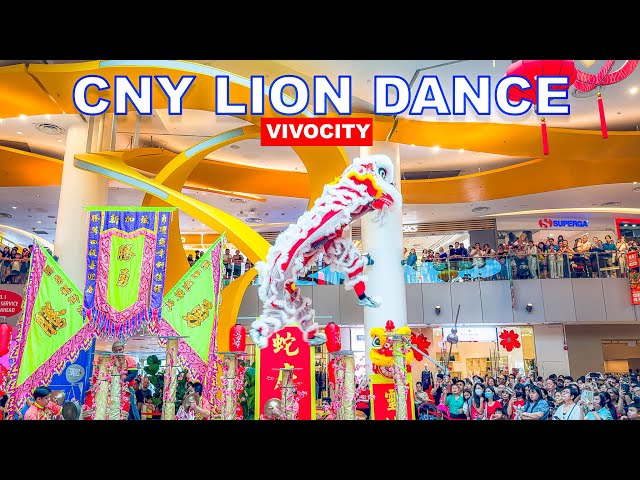 Singapore CNY Lion Dance at VivoCity | Singapore Chinese New Year Lion Dance 2025🇸🇬🧧🦁