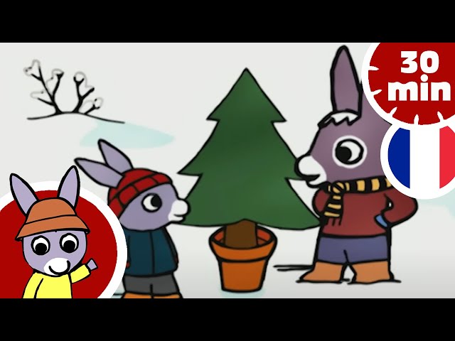 🎄 Trotro et le sapin 🎄 - Dessin animé pour bébé