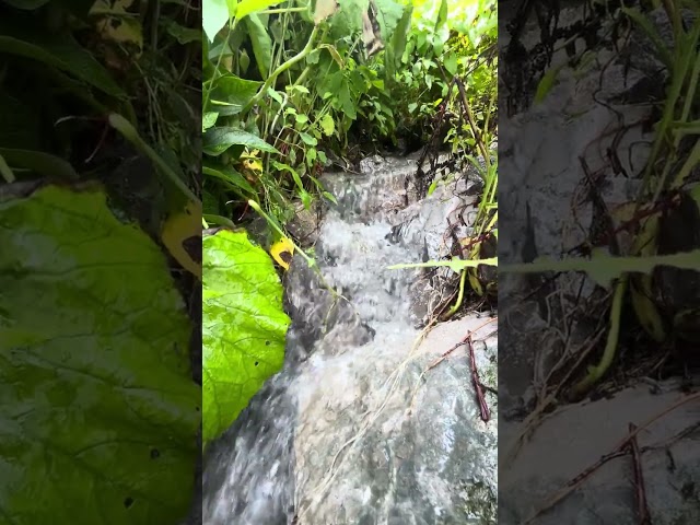 Beautiful Sound of Water Flowing into a Lake 🌊 @PeacefulSentient