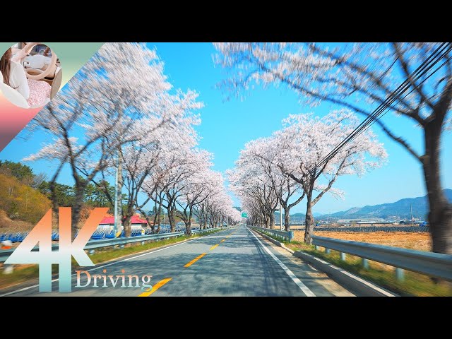 4K HDR Driving - Driving Dolby Vision - Scenic Drive