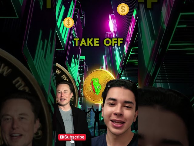 Elon Musk's Latest Crypto Move: Which Meme Coin Will Explode in 2025?